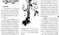 白术最新技能爆料图,神秘力量觉醒，战力再升级！