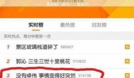 卓伟爆料同志名单最新,揭秘娱乐圈同志名单大揭秘
